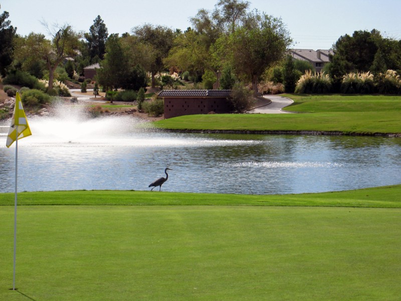 Course Photo Gallery Wildhorse Golf Club