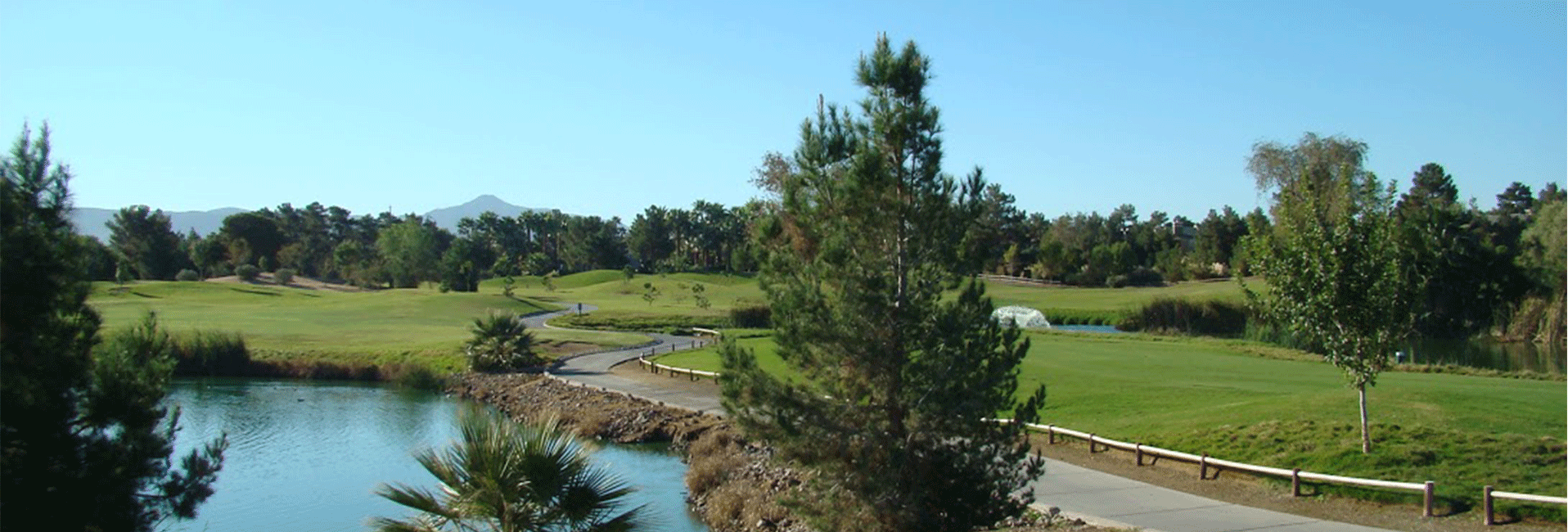 View of golf course with large tree