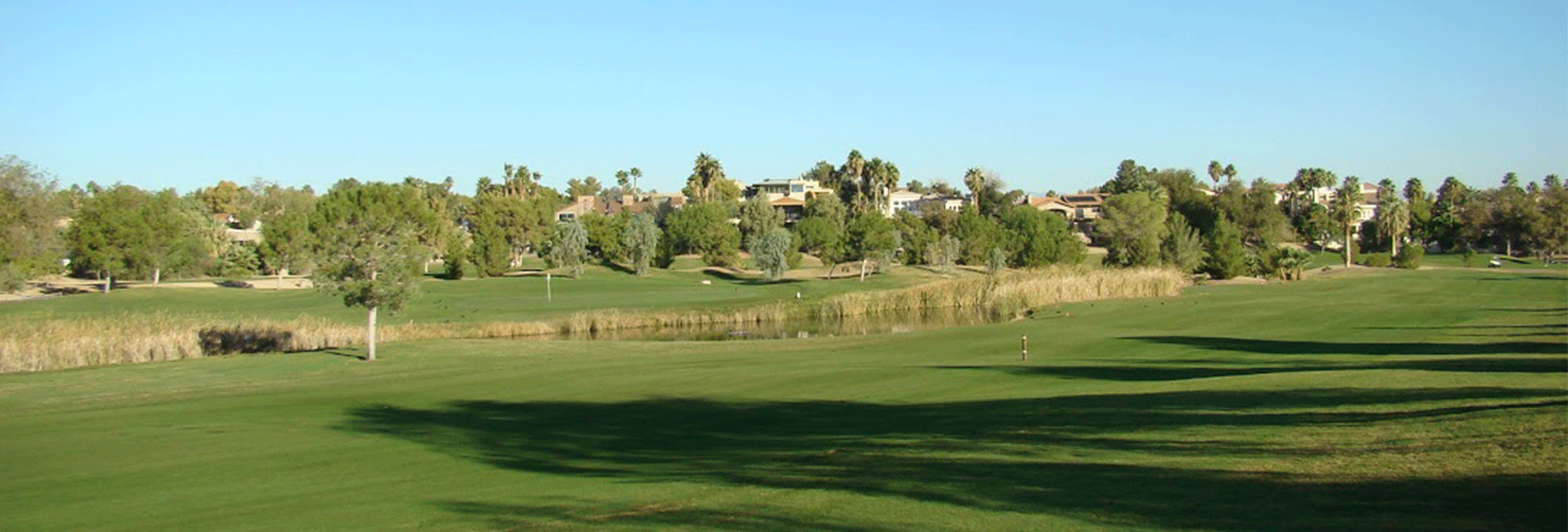 View of golf course with trees 