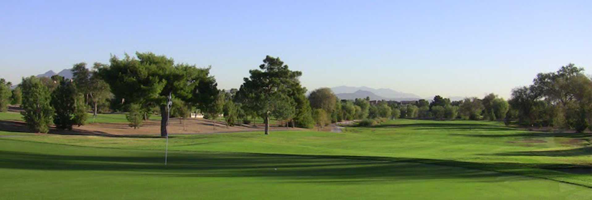 Trees on golf course green